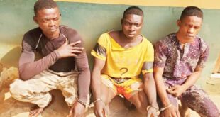 One Million Boys members gang-rape lady in Ogun