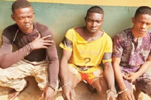 One Million Boys members gang-rape lady in Ogun