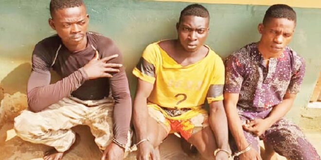 One Million Boys members gang-rape lady in Ogun