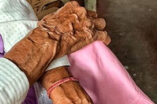 India in shock over 86-year-old grandmother's rape